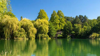 Teich in einem Park