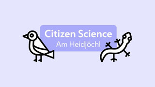 Sujet fr die Veranstaltungen "Citizen Science Am Heidjchl"