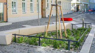 Baumscheibe und Sitzgelegenheiten in der Goldschlagstrae