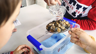 Schler leert Wasser ber einen Teller voller Steine
